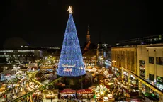 Choáng ngợp trước vẻ đẹp của những cây thông Noel "Khủng"