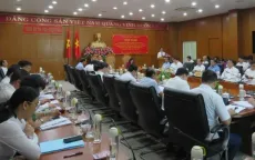 Bà Rịa - Vũng Tàu: Tinh giản bộ máy chính quyền, giảm gần 3.000 biên chế