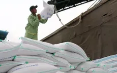 9 triệu tấn gạo xuất khẩu, mang về 5,8 tỷ USD