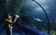 Đóng cửa công viên hải dương học lớn nhất châu Âu