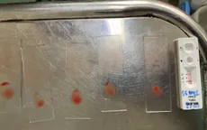 Hà Nội giữ vững thành quả loại trừ sốt rét