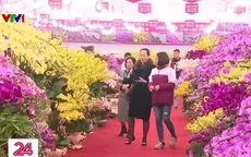 Không khí Tết ngập tràn các tuyến phố Hà Nội