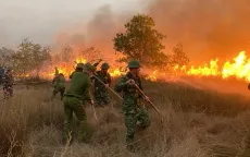 Hàng trăm người tham gia chữa cháy rừng tại Tân Thanh, Lạng Sơn