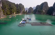 Nông nghiệp điểm tựa của nền kinh tế
