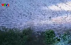 Xuất hiện băng giá và sương muối tại vùng cao Lào Cai