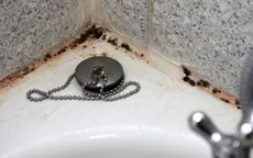 Làm sao để loại bỏ nấm mốc phòng tắm triệt để?