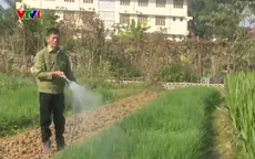 Người dân Cao Bằng vất vả mưu sinh trong giá rét