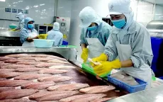 Xuất khẩu cá tra giá trị gia tăng sang Mỹ tăng 21 lần