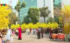 TP Hồ Chí Minh: Rộn ràng không gian Tết truyền thống