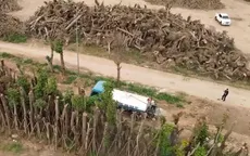 Hà Nội: Ươm lại mầm xanh sau siêu bão Yagi