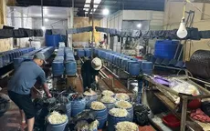 Khởi tố đối tượng sản xuất, kinh doanh 30 tấn giá đỗ có sử dụng chất cấm