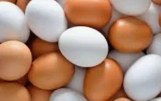 Ăn nhầm trứng gà tiêm thuốc chuột, 2 trẻ nhập viện