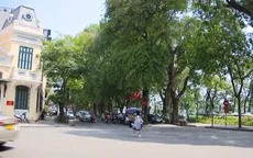 Di tích 22 Hàng Buồm và ngôi nhà di sản 87 Mã Mây mở cửa miễn phí từ 29 -30/01/2025