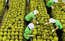 Xuất khẩu nông sản năm 2025 đặt mục tiêu 70 tỷ USD