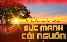 Chiều cuối năm - Sức mạnh cội nguồn: Bức tranh đa sắc, giàu cảm xúc