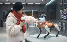 Người trẻ Trung Quốc tìm đến thú cưng robot để giải tỏa cô đơn