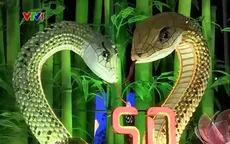 Người dân TP Hồ Chí Minh háo hức tham quan đường hoa Nguyễn Huệ