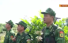 Đảm bảo bình yên cho người dân đón Têt Nguyên đán Ất Tỵ