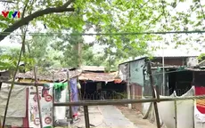 Xuân về trên xóm trọ nhỏ