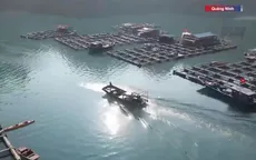 Làng chài ở Vân Đồn hứng khởi đón Tết