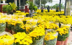 Nhìn lại một mùa Tết của các nhà vườn, thương lái bán hoa