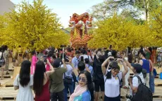Cán bộ, công chức, viên chức không tổ chức du Xuân, chúc Tết trong giờ làm việc