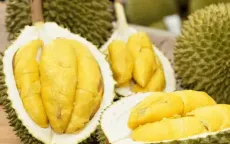 Cạnh tranh sầu riêng Thái Lan và Việt Nam tại Trung Quốc