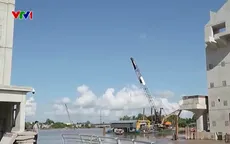 Người dân ĐBSCL chủ động sống chung với xâm nhập mặn