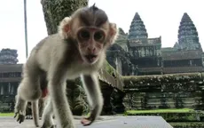Campuchia cảnh báo du khách khi tới thăm đền Angkor Wat