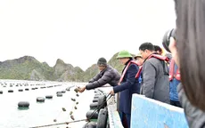 Phó Thủ tướng Trần Hồng Hà kiểm tra hoạt động nuôi trồng thủy sản tại tỉnh Quảng Ninh
