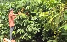 Xây dựng nông thôn mới gắn với giảm nghèo bền vững