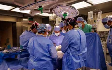 Bước ngoặt ghép thận lợn chỉnh sửa gen cho người