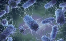Ba bác sĩ nghi nhiễm E.Coli tại Hong Kong (Trung Quốc)