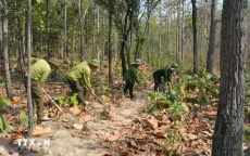 Tây Ninh cảnh báo cháy rừng ở cấp cực kỳ nguy hiểm