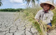 Thủ tướng yêu cầu chủ động ứng phó xâm nhập mặn ở ĐBSCL và TP Hồ Chí Minh