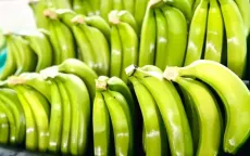 Hàn Quốc: Nhập khẩu trái cây tươi tăng cao
