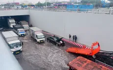 TP Hồ Chí Minh yêu cầu khẩn trương xử lý ngập hầm chui Nguyễn Văn Linh - Nguyễn Hữu Thọ