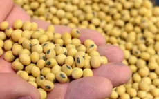 EU dự định siết chặt quy định nhập khẩu thực phẩm