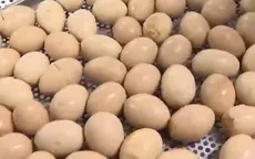 Nhiều mặt hàng Việt Nam có cơ hội “xuất ngoại”