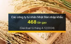Giá gạo tại Nhật Bản dự báo sẽ duy trì ở mức cao