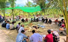 Hậu Giang: Triệt phá tụ điểm đánh bạc quy mô lớn dưới hình thức đá gà ăn tiền
