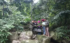 Phú Thọ: Biến rừng thành “lá chắn xanh” trước biến đổi khí hậu