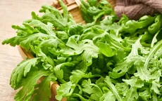 Đổi vị với 2 món ngon từ rau cải cúc