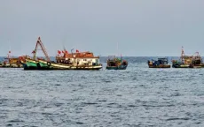 Xảy ra dông lốc giữa mùa khô tại Cà Mau