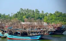 Nỗ lực tìm kiếm ngư dân không may bị mất tích khi hành nghề câu mực trên biển