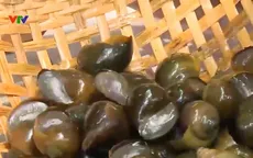 Món ngon từ ốc đồng miền Tây