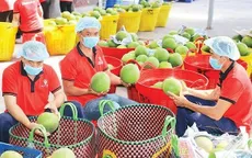 Châu Âu ra nhiều quy định mới về thực phẩm nhập khẩu