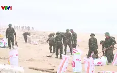 Thu gom gần 50 tấn dầu vón cục trên bờ biển