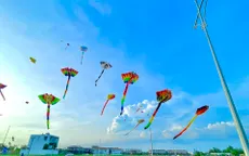 Cần Thơ lần đầu tổ chức Ngày hội thả diều nghệ thuật
