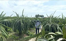 Long An có 7 xã Nông thôn mới kiểu mẫu